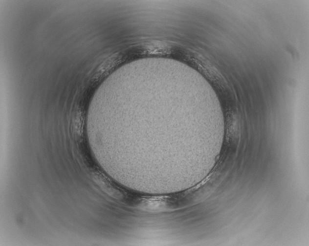 X0000115340078200911301556