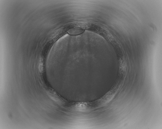 X0000115340080200911301556