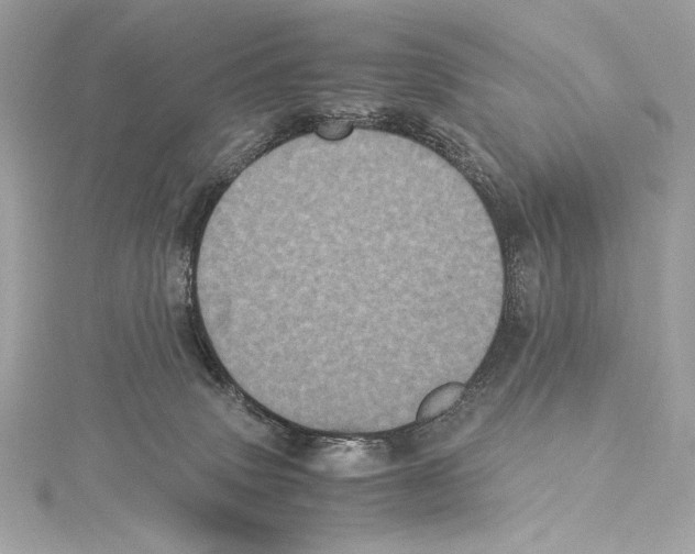 X0000115340083200911301556