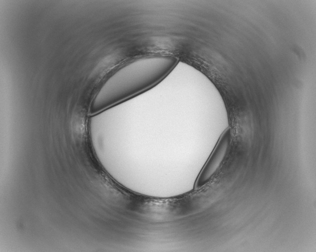 X0000115340084200911301556