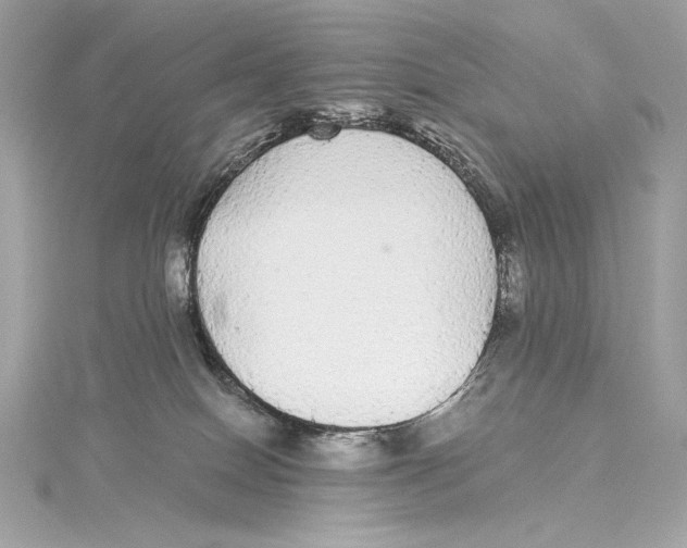 X0000115340086200911301556