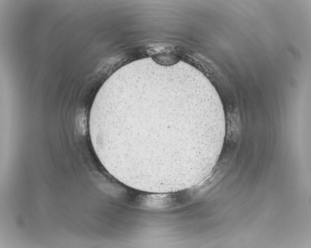 X0000115340090200911301556