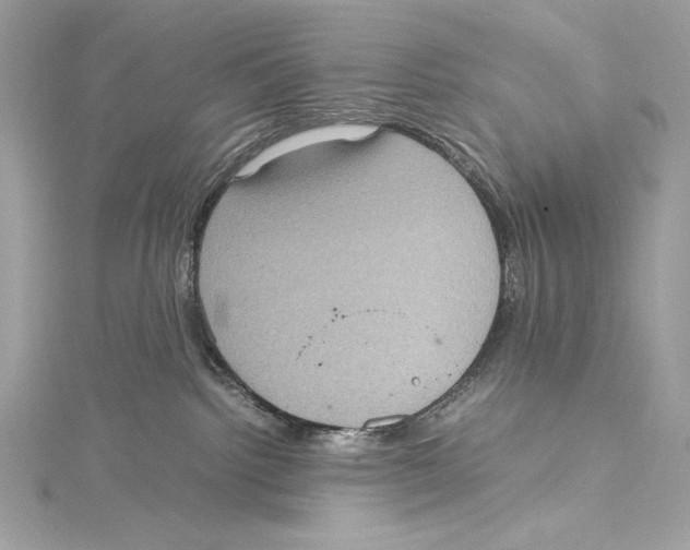 X0000115340092200911301556