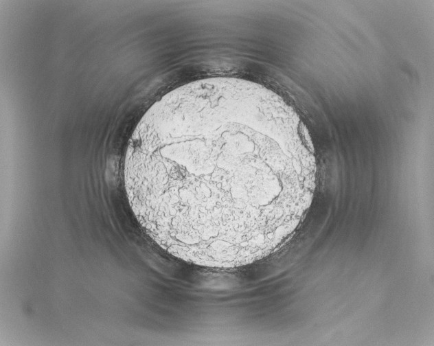 X0000115340093200911301556