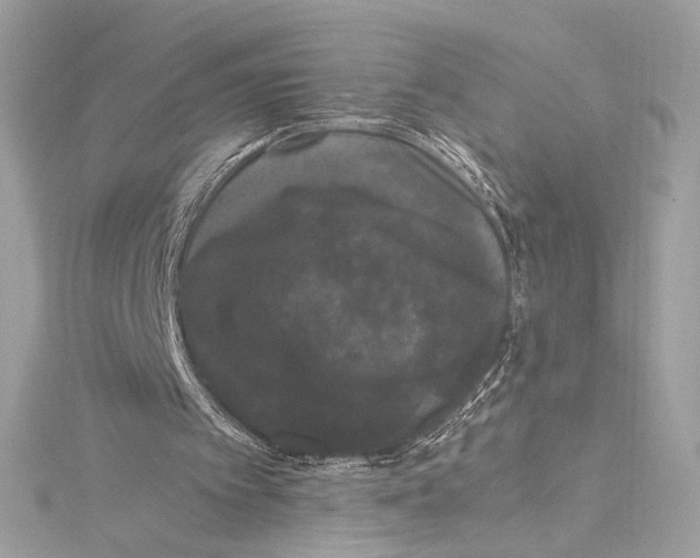 X0000115340097200911301556