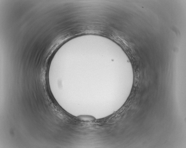 X0000115340098200911301556