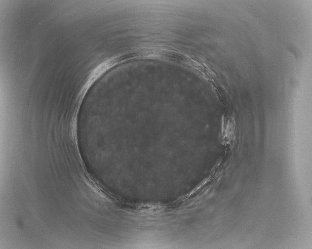 X0000115340099200911301556