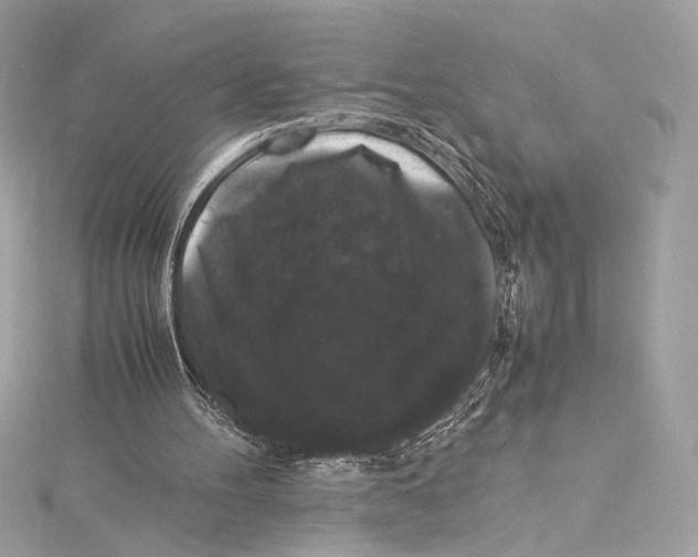 X0000115340100200911301556