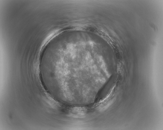 X0000115340101200911301556