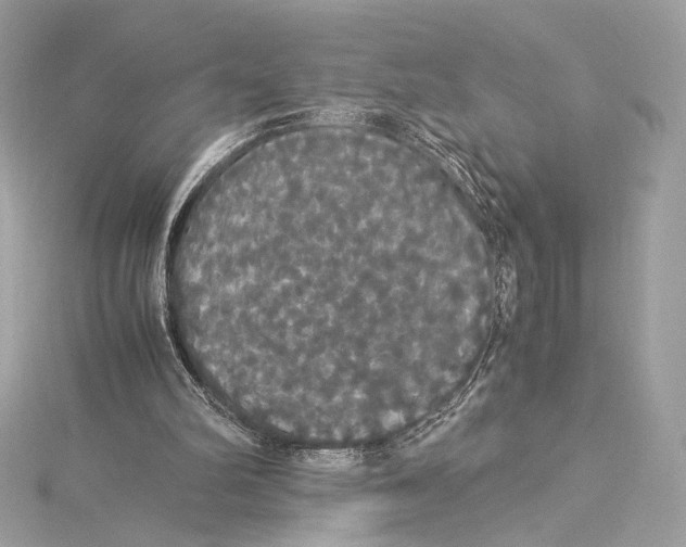 X0000115340102200911301556