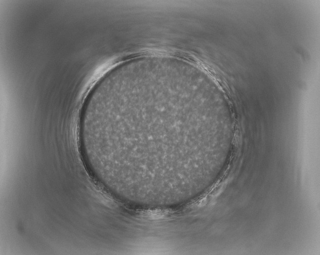 X0000115340103200911301556