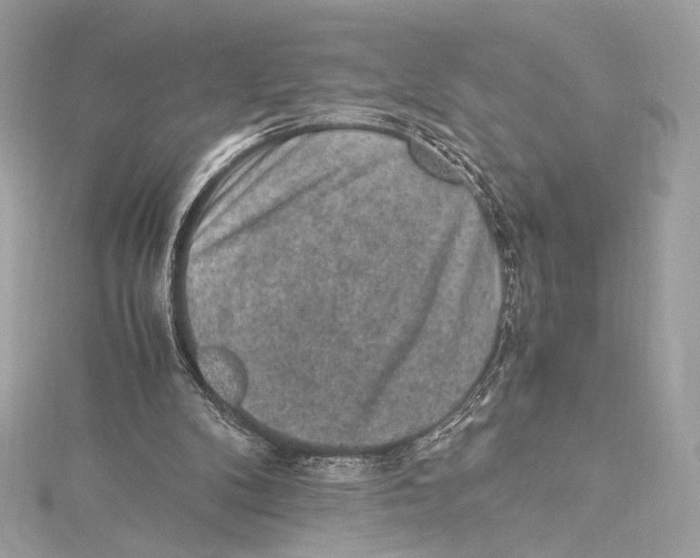 X0000115340104200911301556