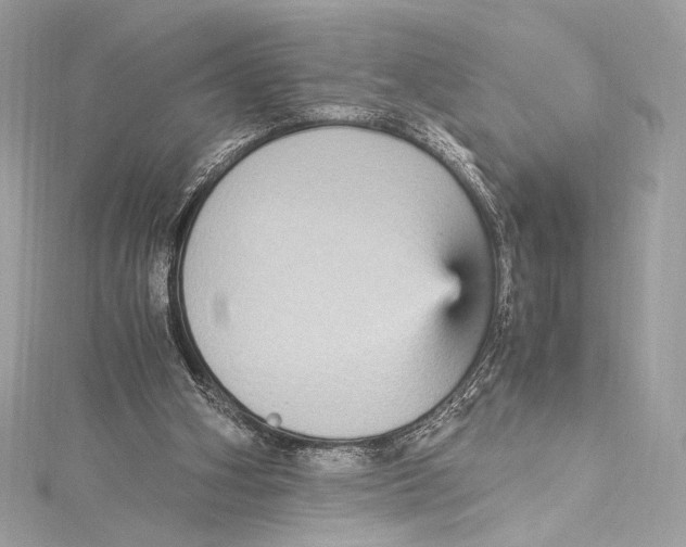 X0000115340106200911301556