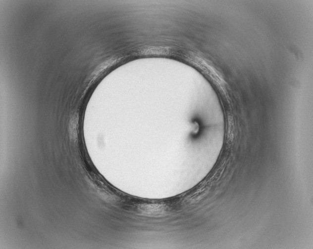 X0000115340107200911301556