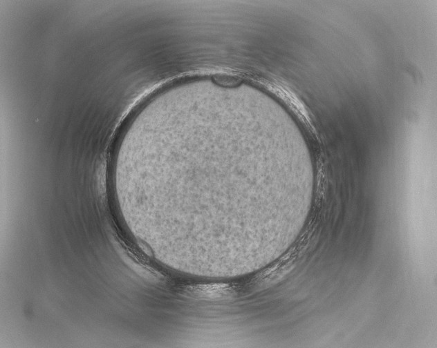 X0000115340108200911301556