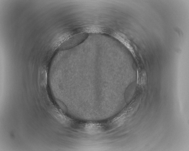 X0000115340109200911301556