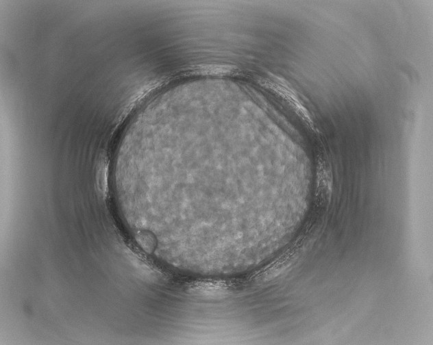 X0000115340110200911301555