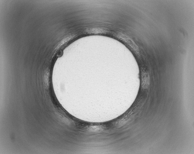 X0000115340111200911301555