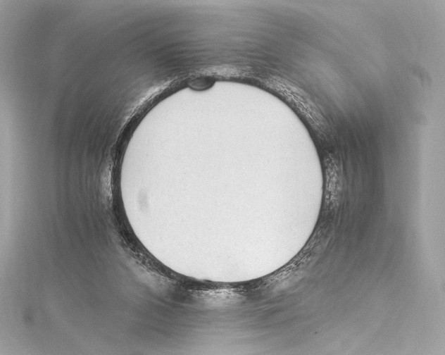 X0000115340112200911301555