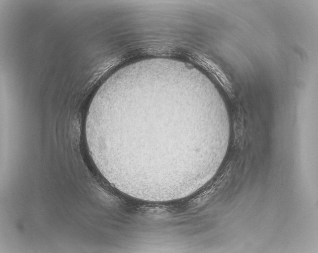 X0000115340113200911301555