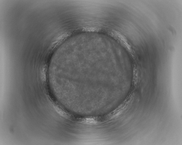 X0000115340114200911301555