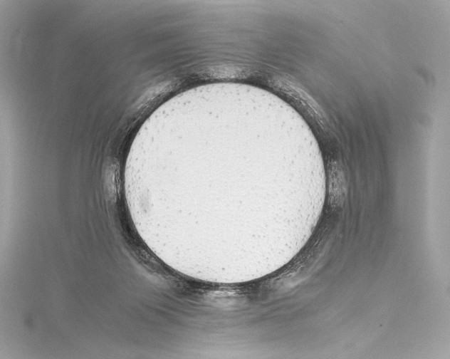 X0000115340119200911301555