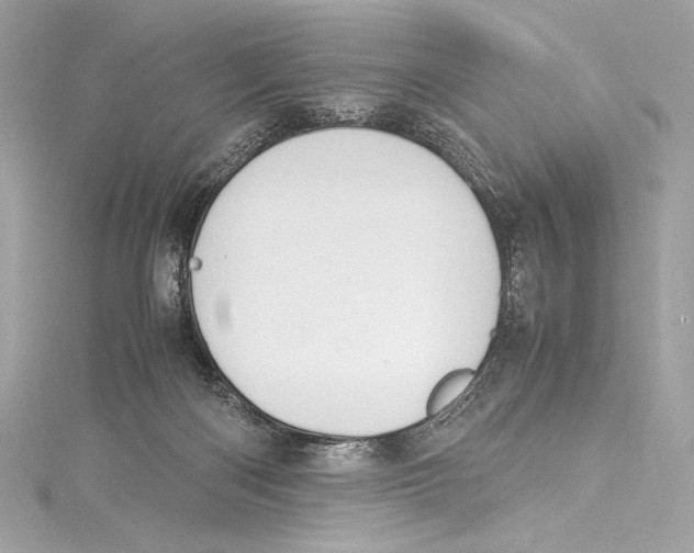 X0000115340122200911301555