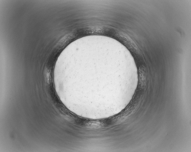 X0000115340123200911301555