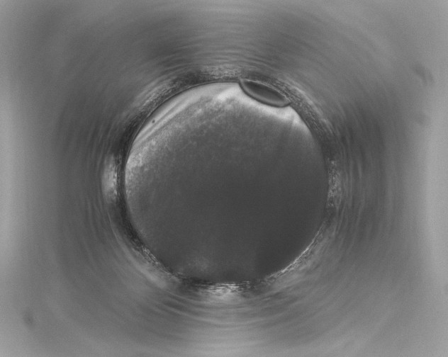 X0000115340124200911301555