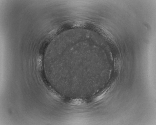 X0000115340127200911301555