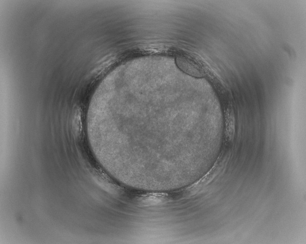 X0000115340128200911301555