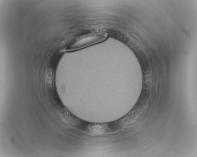 X0000115340129200911301555