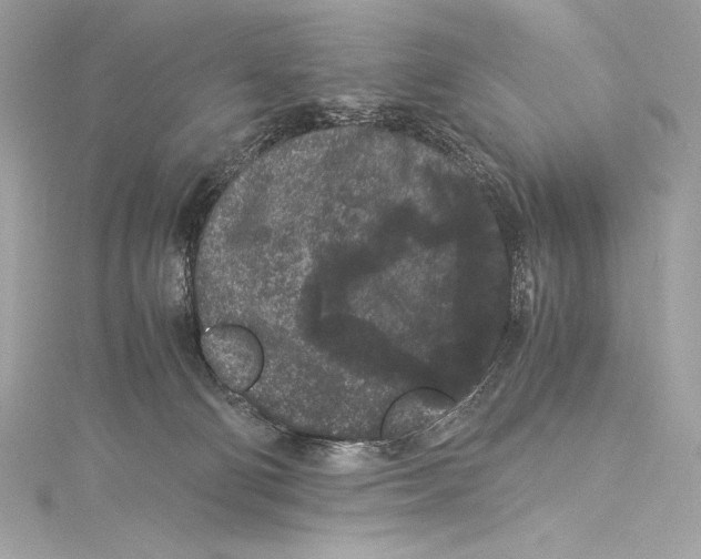 X0000115340130200911301555