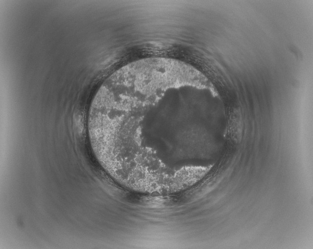 X0000115340131200911301555