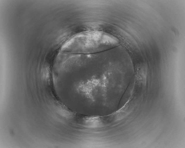 X0000115340132200911301555