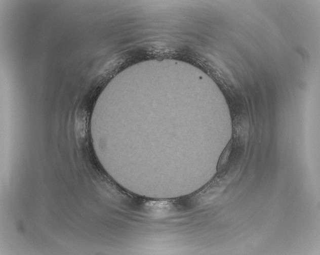 X0000115340133200911301555