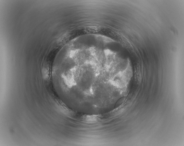 X0000115340134200911301555