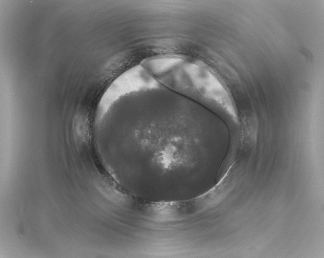 X0000115340136200911301555