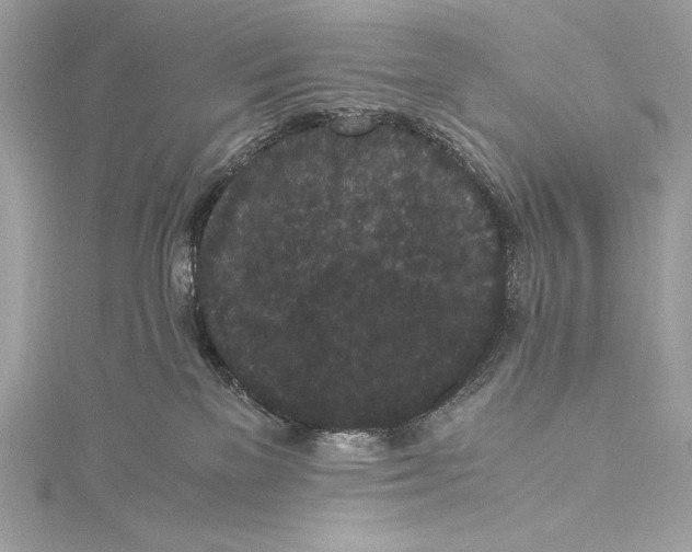 X0000115340137200911301555