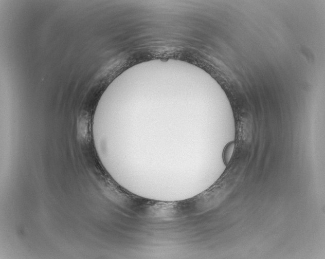 X0000115340138200911301555