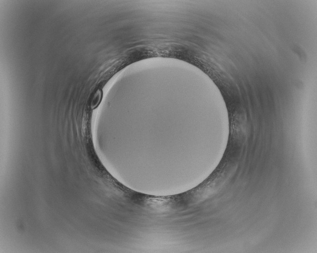 X0000115340139200911301555