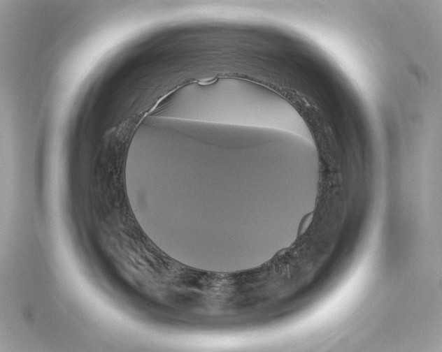 X0000115340143200911301555