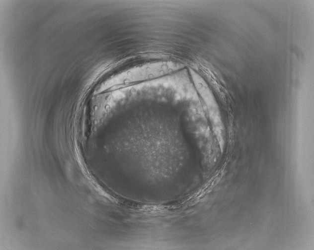 X0000115340145200911301554