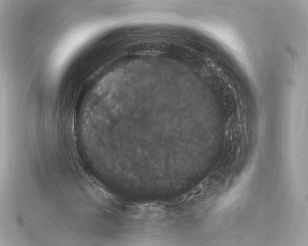 X0000115340146200911301554