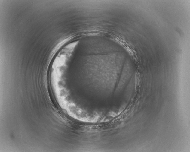 X0000115340147200911301554