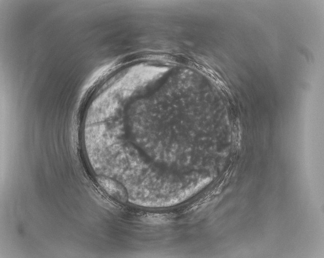 X0000115340149200911301554