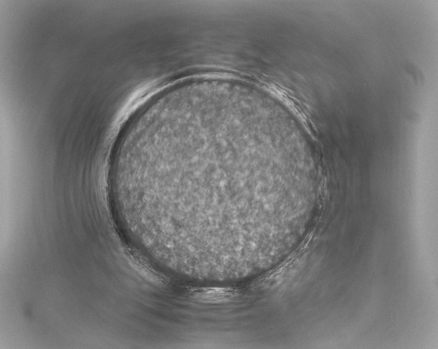 X0000115340151200911301555