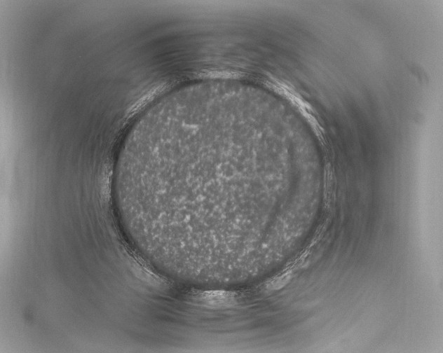 X0000115340153200911301555