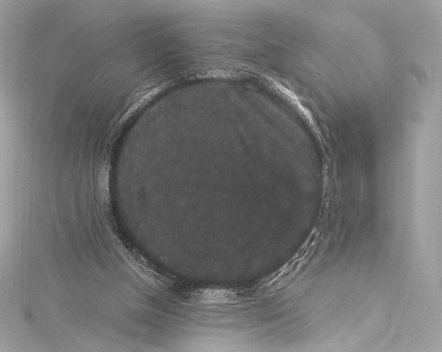 X0000115340154200911301555