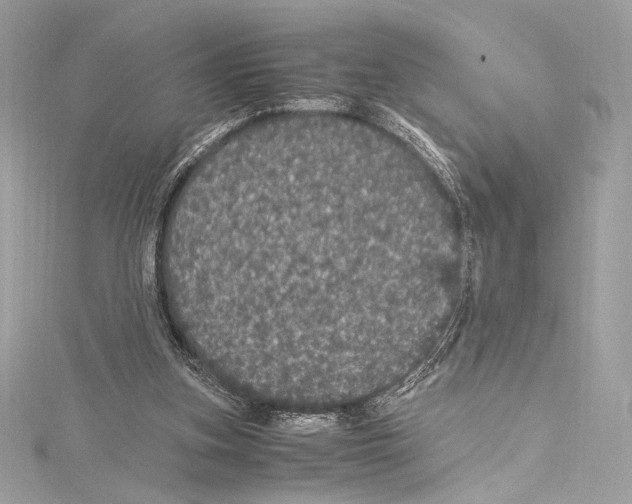 X0000115340155200911301555